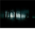 Forbidden Forests