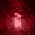 нαℓσ кιтту
