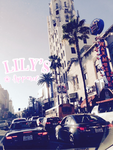 ~ Lily’s Apparel ~