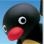 Pingu de la Vera V3