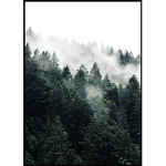 foresting