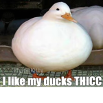 Phantom Bois group