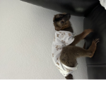 Hi there is a meeting