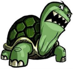Stupid Turtles