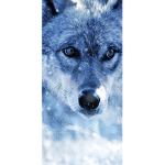 Blue wolf elementary
