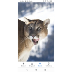 -_-'Cougarz'-_-
