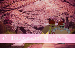 花 Blossom