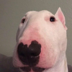 Peaxchez
