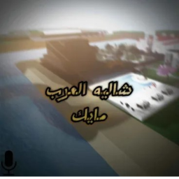 شاليه العرب/مايك
