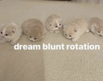 fent squad