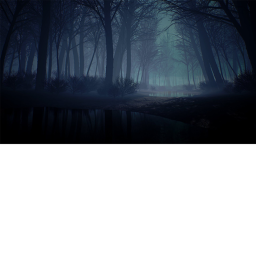 Creepy Forest