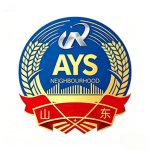 AYS山东