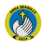 Amsa Seagulls