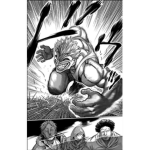 Jigo Kubatsen ∙ 類