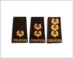 Singapore Armed Forces Senior Officers