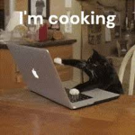MeowwareStudios