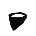official bandanna squad