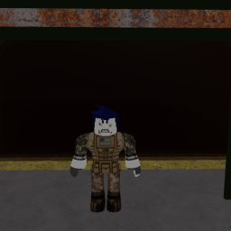Survive A War!