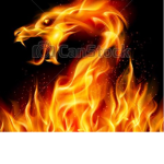 TEAM FIRE DRAGON FOREVER
