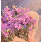 aesthetic kpop <3