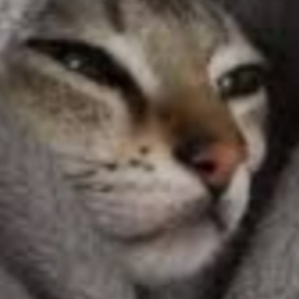 cat Roblox decal