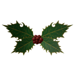 Christmas Mistletoe Fairy Wings