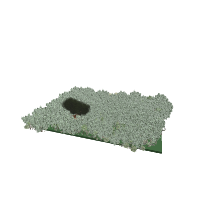 Forest With Cabin