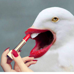 Ｍｅｍe Ｄｒｅａm Ｍａｃｈｉｎe