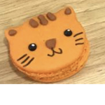Cat macoroons