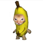 N!<3