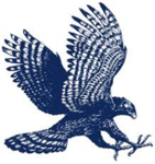 F.A.S.T. War Hawks