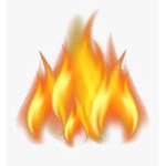 The Fire Fam Club