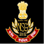 NSG Strucid