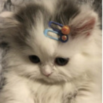 Cutez club <3