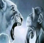 Demons kingdoom