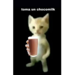 Chocomilk gratis