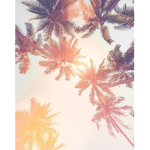 Tropical Sunshine Squad!