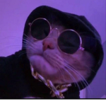 efe stinkt