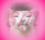 SM's group レ・ヘ・マ