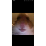 Groupe bg du monde