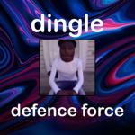 Dingle Defence Force