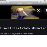 Axolotl club/gaming
