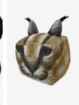 Roblox is cool Roblox Roblox is cool Roblox is coo