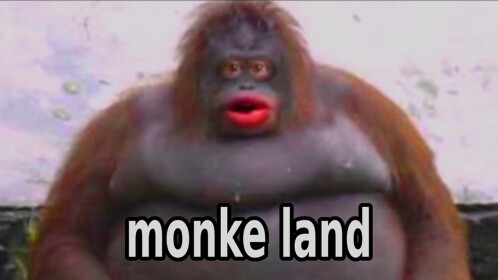 Monke land