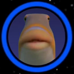 The Meme World