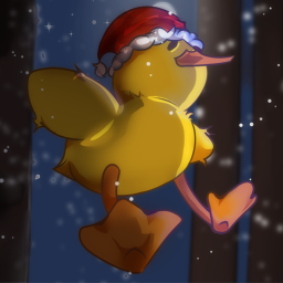 duck fight test