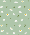 - Mel’s daisy group -