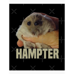 Cool hampter$ Gang