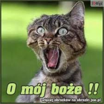 ziomale dzika