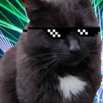 Cool Cat Studios!!!